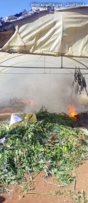 الجيش: مواصلة عمليات مكافحة الاتجار بالمخدرات وملاحقة المخلين بالأمن في مختلف المناطق الجيش: مواصلة عمليات مكافحة الاتجار بالمخدرات وملاحقة المخلين بالأمن في مختلف المناطق