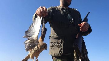 بعد اصطياده طيورا مهددة بالانقراض... وقع في قبضة الأمن! بعد اصطياده طيورا مهددة بالانقراض... وقع في قبضة الأمن!