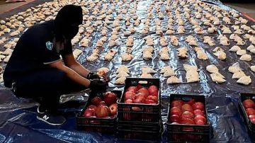 صناعة الحيلة... أغرب طرق تهريب المخدرات من لبنان صناعة الحيلة... أغرب طرق تهريب المخدرات من لبنان