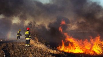 وفاة كل دقيقة.. الحرارة تفتك بالبشر حول العالم وفاة كل دقيقة.. الحرارة تفتك بالبشر حول العالم