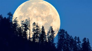 في ظاهرة فلكية نادرة .. القمر العملاق يتألق في سماء لبنان مساء اليوم