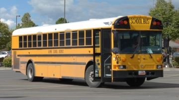 كي لا تتحول الحافلات المدرسية إلى خطر متنقل... كي لا تتحول الحافلات المدرسية إلى خطر متنقل...