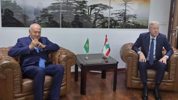 رجي أثار مع أبو الغيط مسألة الاعتداءات والتهديدات الاسرائيلية