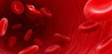 طريقة جديدة لتجديد خلايا الدم.. إليكم هذه الدراسة طريقة جديدة لتجديد خلايا الدم.. إليكم هذه الدراسة
