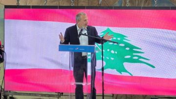 باسيل: عندما تريد الدولة تحمل المسؤولية فيستلزم ذلك حصر السلاح ومواجهة إسرائيل والخطر من الحدود الشرقية باسيل: عندما تريد الدولة تحمل المسؤولية فيستلزم ذلك حصر السلاح ومواجهة إسرائيل والخطر من الحدود الشرقية