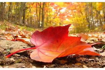 كتل هوائية دافئة بدءا من يوم غد وارتفاع بدرجات الحرارة كتل هوائية دافئة بدءا من يوم غد وارتفاع بدرجات الحرارة