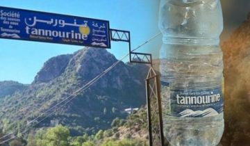 بين حماية الصناعة الوطنية والحفاظ على صحة المستهلك بين حماية الصناعة الوطنية والحفاظ على صحة المستهلك