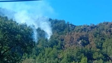 بعد مضي 4 أيام على إخماده... حريق يتجدد وخشية من تمدده! بعد مضي 4 أيام على إخماده... حريق يتجدد وخشية من تمدده!