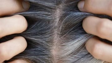 شيب الشعر.. درع طبيعي ضد السرطان