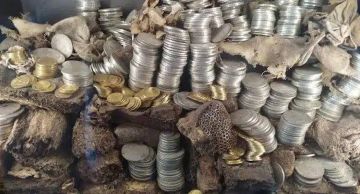 عربي-دولي بعد اللوفر متحف جديد في فرنسا يتعرض للسرقة عربي-دولي بعد اللوفر متحف جديد في فرنسا يتعرض للسرقة