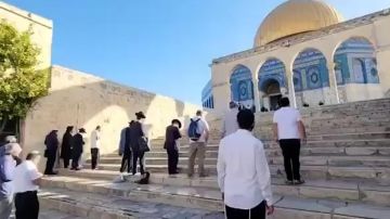 بالفيديو: مستوطنون يقتحمون المسجد الأقصى بالفيديو: مستوطنون يقتحمون المسجد الأقصى