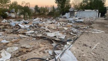 بالفيديو: تفكيك مخيم غير قانوني للنازحين