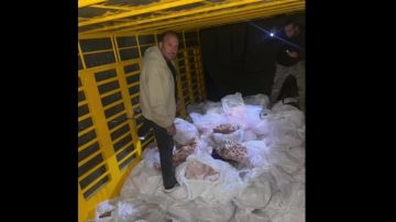 بالفيديو: 3 أطنان من الشحوم... إلى معلباتنا؟!