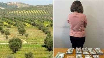 مدبرة منزل سورية تسرق 90 الف دولار من منزل رب عملها والسوري سليم يسرق محصول الزيتون في الطيري ويهرب! مدبرة منزل سورية تسرق 90 الف دولار من منزل رب عملها والسوري سليم يسرق محصول الزيتون في الطيري ويهرب!