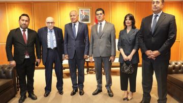 أبو الغيط: نتمسك بانسحاب إسرائيل الكامل من لبنان أبو الغيط: نتمسك بانسحاب إسرائيل الكامل من لبنان