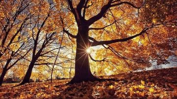 بداية دافئة لتشرين الثاني... هذا ما يخبئه الـويك آند! بداية دافئة لتشرين الثاني... هذا ما يخبئه الـويك آند!