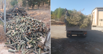 وزارة الزراعة: ضبط مخالفات قطع الأشجار الحرجية في قضاء بنت جبيل وزارة الزراعة: ضبط مخالفات قطع الأشجار الحرجية في قضاء بنت جبيل