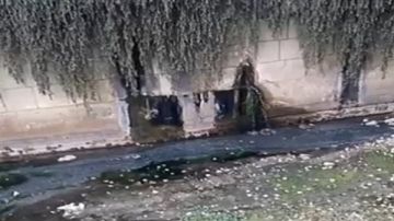 بالفيديو: تسرب مياه ملوثة في إحدى الانهر