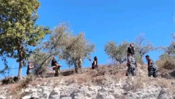 بالأرقام الصادمة: إسقاط أكبر مذبحة صيد في تاريخ لبنان بالأرقام الصادمة: إسقاط أكبر مذبحة صيد في تاريخ لبنان