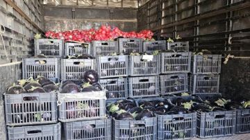 بالصور: ضبط بضائع مهربة في منطقة لبنانية