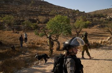 اعتداءات المستوطنين بالضفة تخرج عن السيطرة.. هجمات خطيرة تحرق المزارع والمساجد وتستهدف قاطفي الزيتون