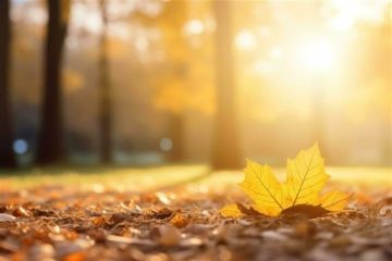 صيف ثان.. الحرارة ستتخطى معدلاتها في الأيام المقبلة! صيف ثان.. الحرارة ستتخطى معدلاتها في الأيام المقبلة!