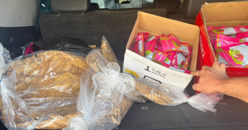الريجي تضبط مصنوعات تبغية مهربة ومزورة في برجا وسبلين والصرفند الريجي تضبط مصنوعات تبغية مهربة ومزورة في برجا وسبلين والصرفند
