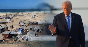 زخم دولي خلف خطة ترامب: إشادة عربية وغربية وتأييد أممي زخم دولي خلف خطة ترامب: إشادة عربية وغربية وتأييد أممي