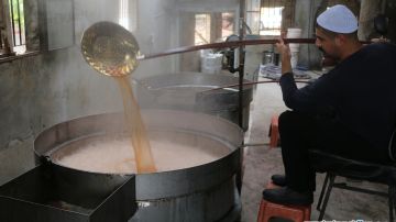 بين حلاوة الإنتاج ومرارة الإهمال... صناعة دبس العنب تكافح وحدها في راشيا (تقرير) بين حلاوة الإنتاج ومرارة الإهمال... صناعة دبس العنب تكافح وحدها في راشيا (تقرير)