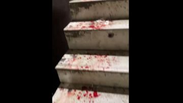 مقتل فتاة داخل غرفة المخدرات في مخيم شاتيلا