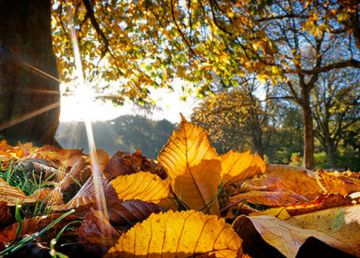 طقس نهاية الاسبوع خريفي مع ارتفاع في درجات الحرارة طقس نهاية الاسبوع خريفي مع ارتفاع في درجات الحرارة