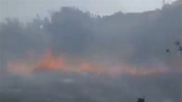 حرائق هائلة تشتعل في أحراج عيتا الشعب