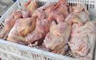 وزارة الصحة تقفل محلا لبيع الدجاج في برج الشمالي لعدم استيفائه شروط السلامة العامة - lb
