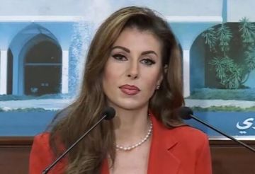 الجديد: أورتاغوس ستزور تل أبيب لاستكمال مهمة التفاوض حول عناوين المرحلة المقبلة بين لبنان واسرائيل