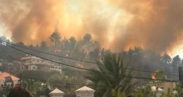 الحرائق تلتهم أحراج لبنان... إبادة بيئية وإهمال وقدرات محدودة الحرائق تلتهم أحراج لبنان... إبادة بيئية وإهمال وقدرات محدودة