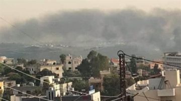 احتراق مكب نفايات يغطي سماء بلدات جنوبية عدة بالدخان الكثيف! احتراق مكب نفايات يغطي سماء بلدات جنوبية عدة بالدخان الكثيف!