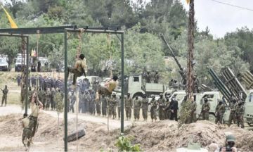 نائب الحزب : لن نلقي السلاح نائب الحزب : لن نلقي السلاح