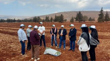 وزارة الزراعة وخطوة استراتيجية نحو الزراعات البديلة المقاومة للمناخ وزارة الزراعة وخطوة استراتيجية نحو الزراعات البديلة المقاومة للمناخ