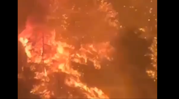 شو الوضع؟ قاسم يرفع وتيرة انتقاد الحكومة في موازاة الضغوط الأميركية... والحرائق تدمي لبنان! شو الوضع؟ قاسم يرفع وتيرة انتقاد الحكومة في موازاة الضغوط الأميركية... والحرائق تدمي لبنان!