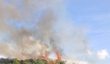 تشرين يلهب غابات لبنان بنار الحرائق والمشاحر ومبادرات وطنية مبتكرة للري والتحريج