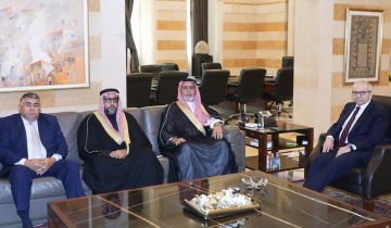 رئيس الحكومة التقى تيمور جنبلاط و تجمع العشائر العربية 