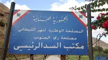 بيان جديد لمصلحة الليطاني عن الطيور النافقة... ووزارة الزراعة تتحرك