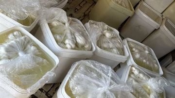 جنوبا: ضبط أجبان سورية مهربة! (صورة)