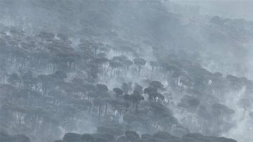 حرائق لبنان تتمدد: خسائر بيئية خطيرة وتحذيرات من تصحر وارتفاع الحرارة حرائق لبنان تتمدد: خسائر بيئية خطيرة وتحذيرات من تصحر وارتفاع الحرارة