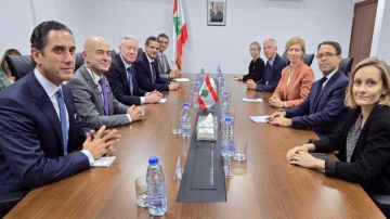 رجي التقى مستشارة ماكرون... وهذا ما قاله عن الإعتداءات وملف الترسيم