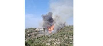 اندلاع حريق كبير في أحراج شحيم وفرق الدفاع المدني تعمل على إخماده