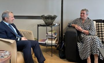 باسيل بحث مع سفيرة الاتحاد الأوروبي المستجدات في لبنان والمنطقة وسبل تعزيز التعاون