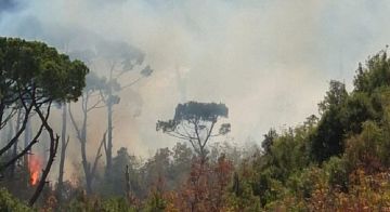بالصور: حريق كبير في أحراج بدنايل يقترب من المنازل