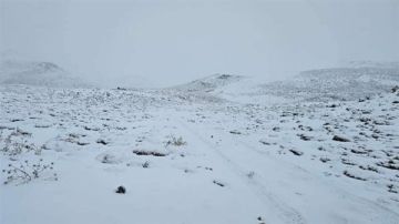 تساقط الثلوج للمرة الاولى هذا العام على مرتفعات الضنية تساقط الثلوج للمرة الاولى هذا العام على مرتفعات الضنية