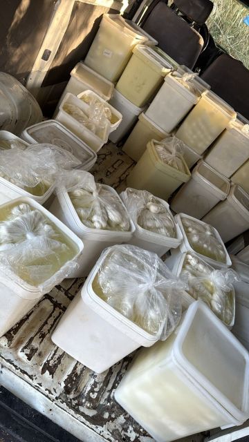 بالصورة: ضبط أجبان سورية مهربة